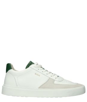 blackstone-130147-wit 1