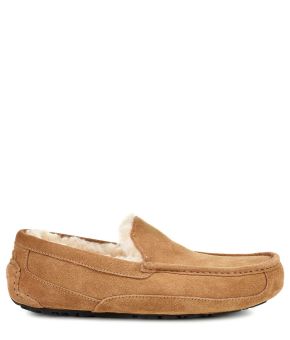 Ugg-Ascot-chestnut-front